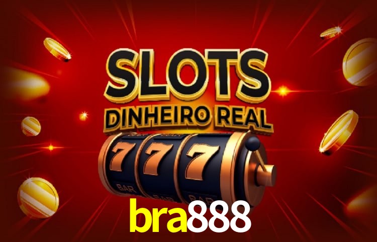 bra888 Salvador - Support